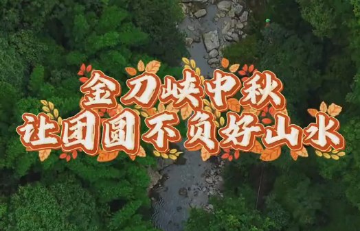 分分彩