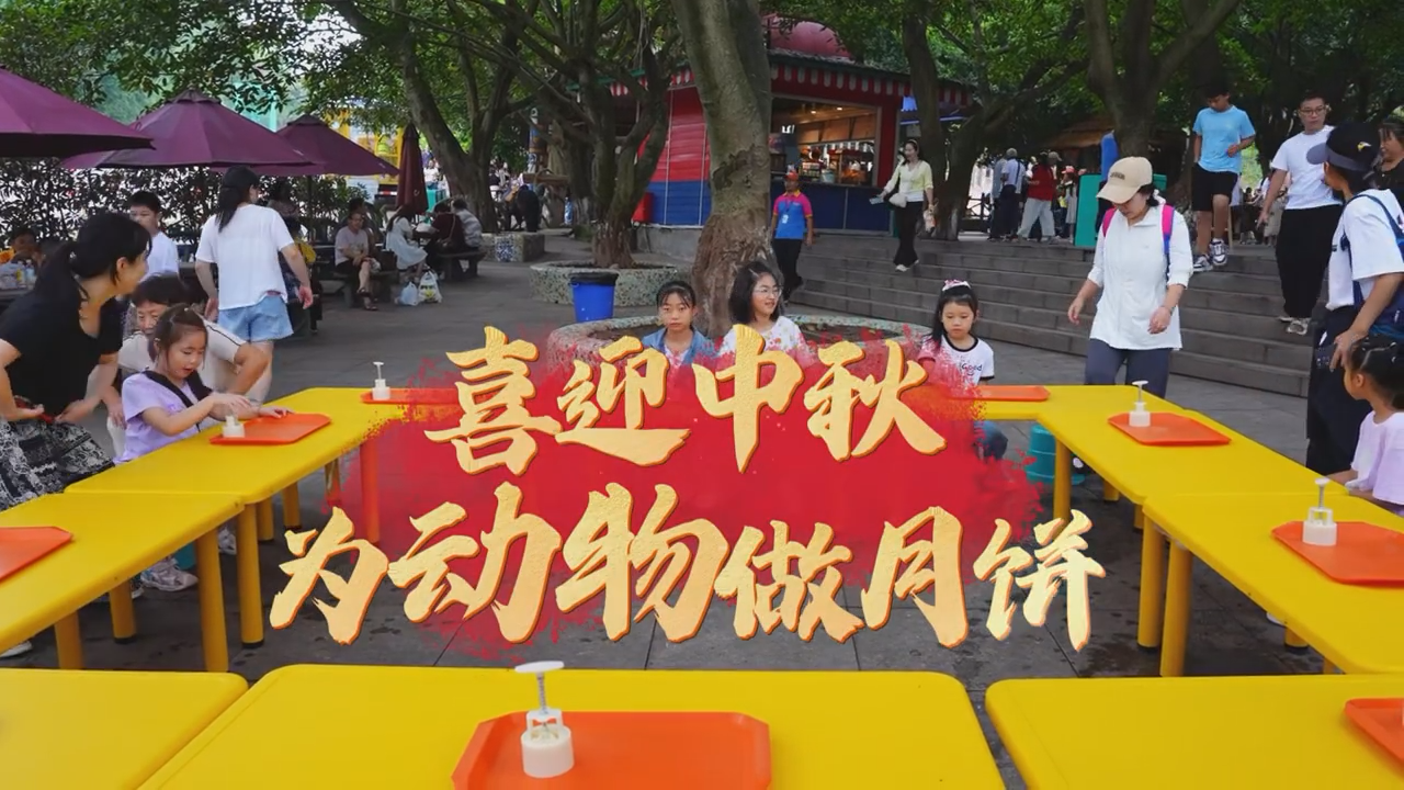 分分彩