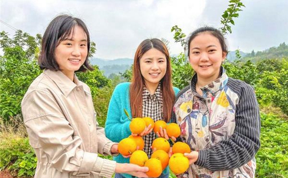 小渡镇月山村清新的空气和充沛的阳光赋予了果冻橙独特的自然生长环境