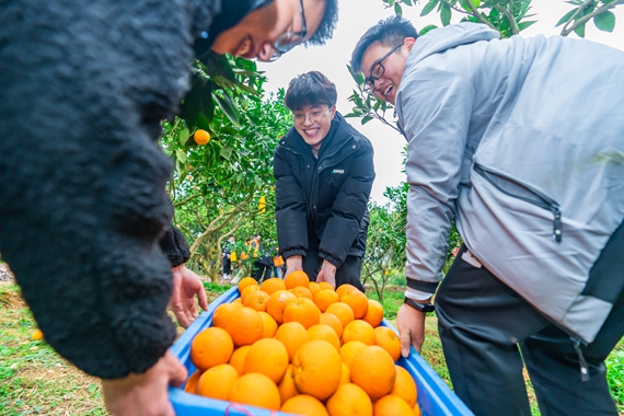 以劳动教育促进生命成长实践培植家国情