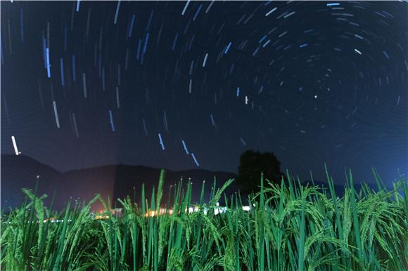 在溶溪镇红光社区拍摄的田园星空照片.通讯员 胡程摄