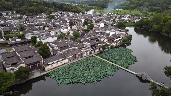 区县>热点新闻>580_326