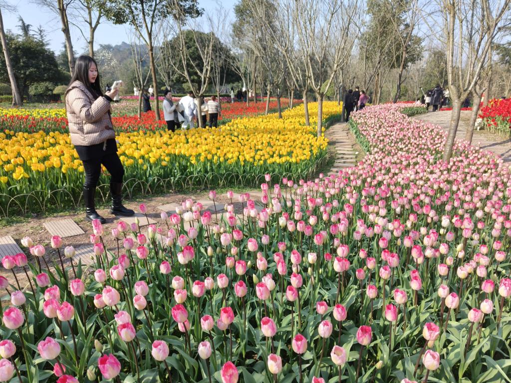 游客在長壽湖景區賞花。長壽湖景區供圖 華龍網發