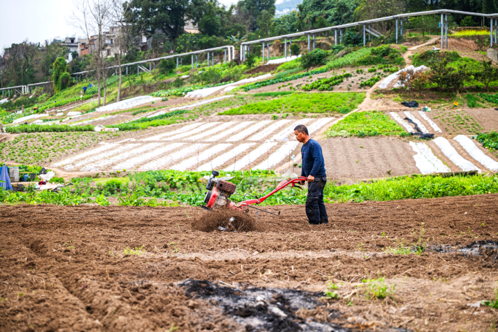 農戶正在用微型農耕機犁地翻土，為種植農作物做好準備。全媒體記者 劉映呈 攝
