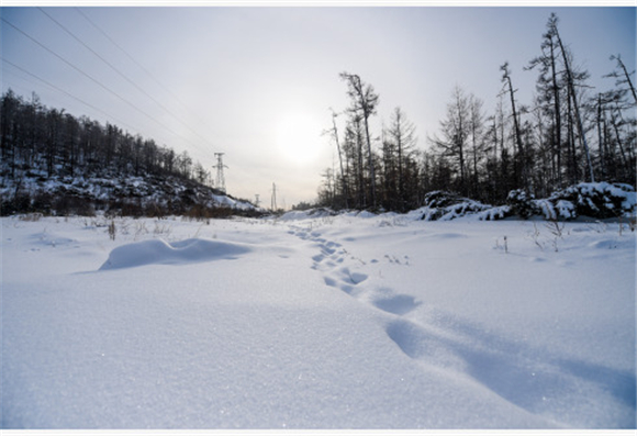大兴安岭的内蒙古根河市金河镇附近雪景.新华社记者 连振 摄1