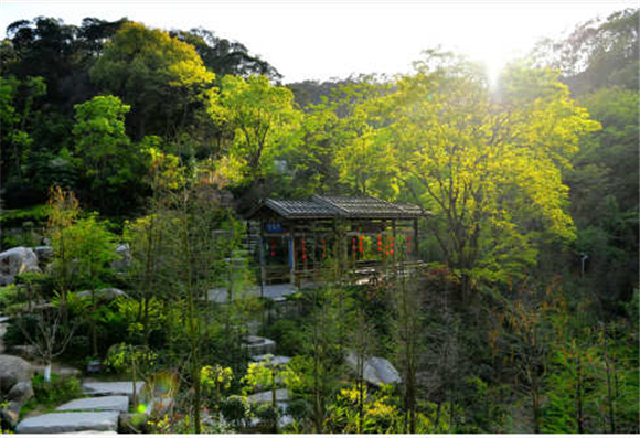 福州逛福山郊野公园赏森林城市美景