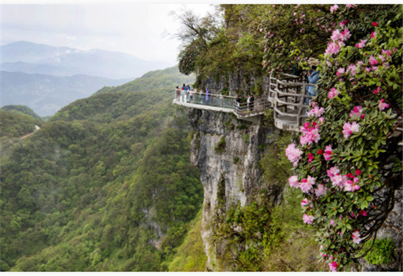 5月11日,游人在汉中龙头山景区玻璃栈道游览.新华社记者 陶明 摄