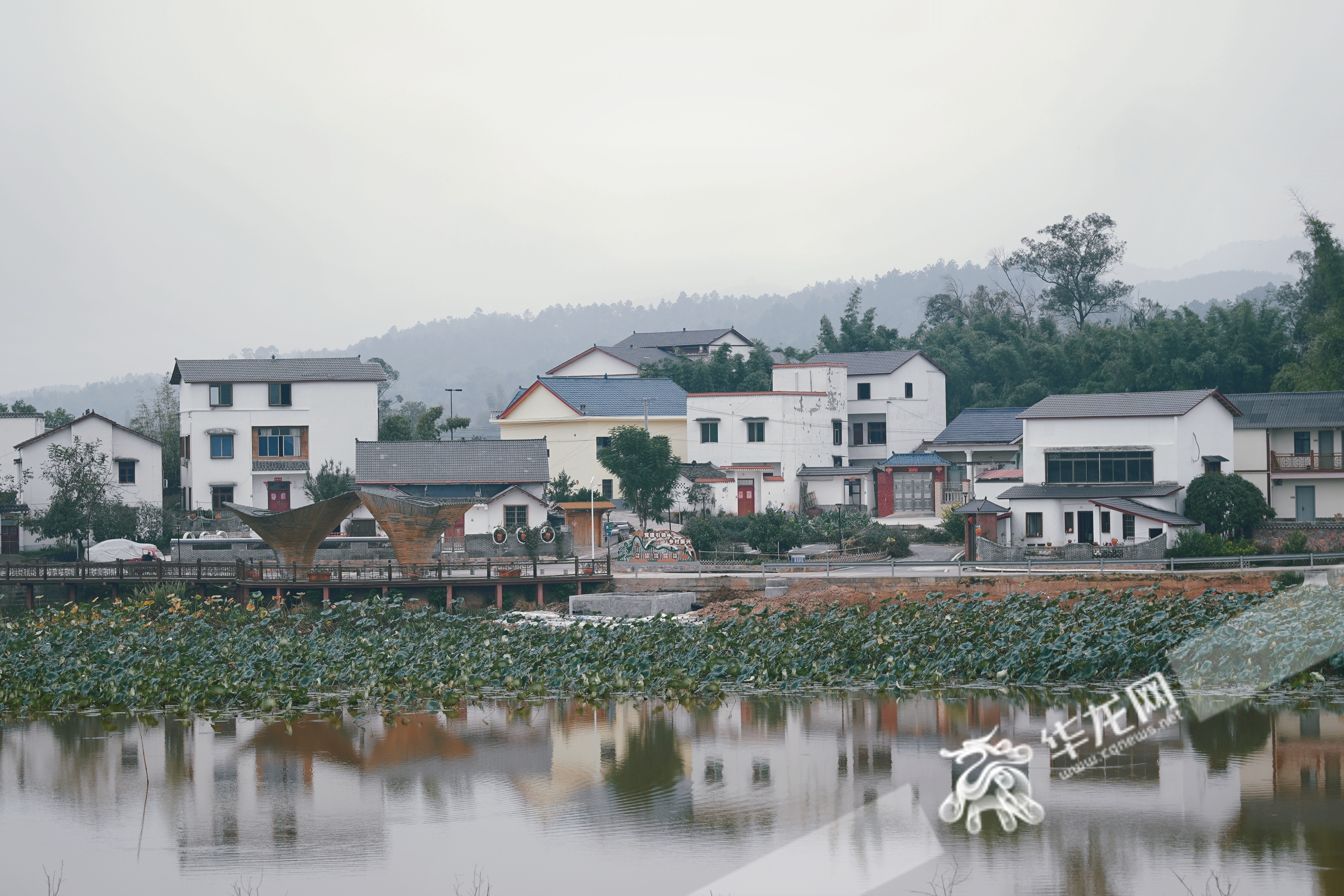 榮昌與隆昌攜手共建的成渝現(xiàn)代高效特色農(nóng)業(yè)帶“雙昌”合作示范園區(qū)。華龍網(wǎng) 辛飛 攝