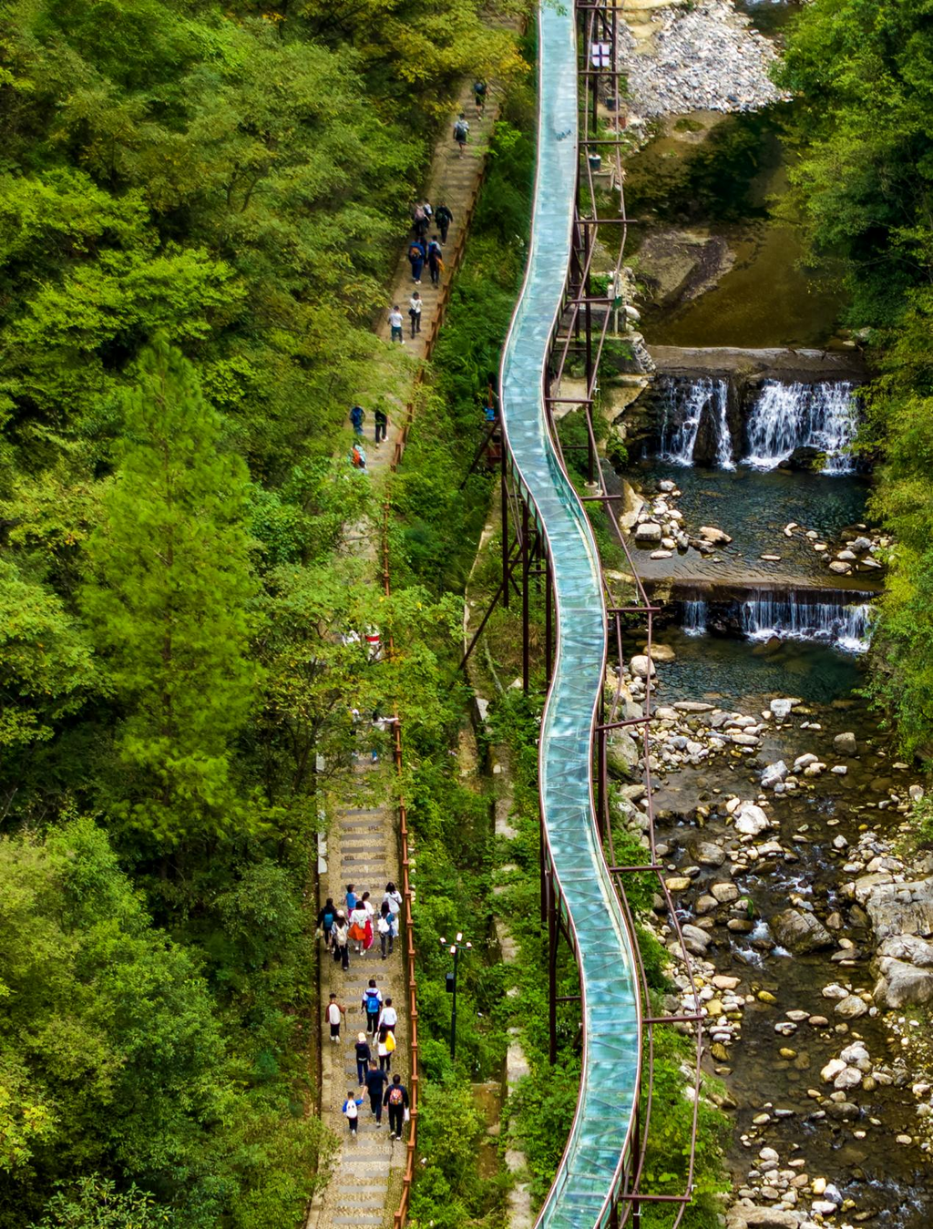 金佛山登山步道山势险峻，沿途风景优美。胡波摄