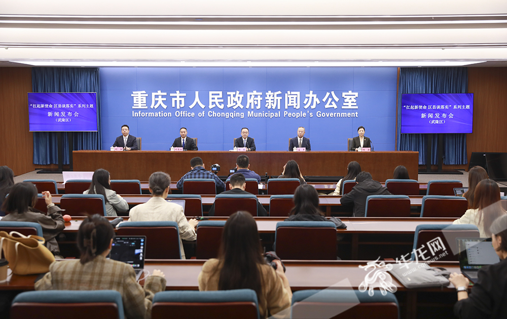 发布会现场。华龙网记者 李文科 摄