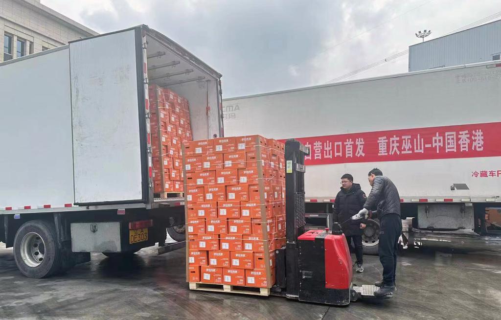 4、发往中国香港的巫山恋橙正在装车。受访者供图