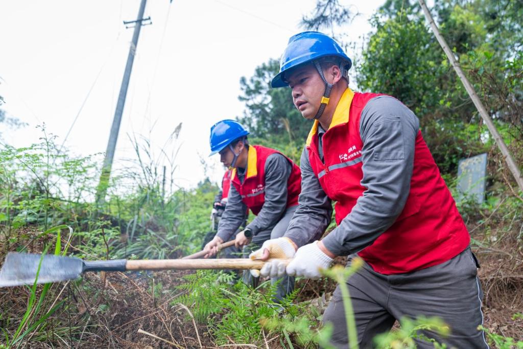 国网重庆永川供电公司员工在双桥区双路镇四方社区利用工具对输配电线路走廊内的树木、灌木进行修剪。通讯员 赖小龙 摄