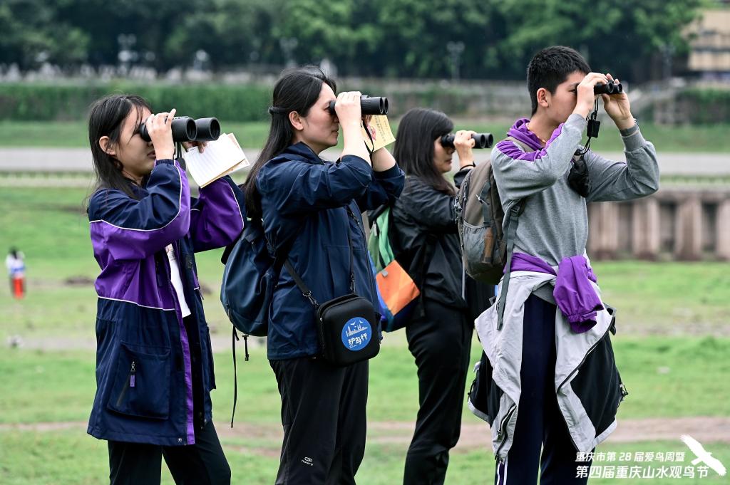 老师学生参与观鸟活动。主办方供图 华龙网发