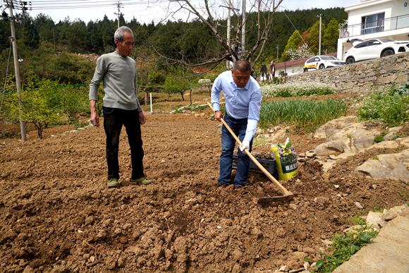 刘海利指导农户根据魔芋的生长需求，合理安排灌溉和施肥计划。 通讯员 齐宏 摄