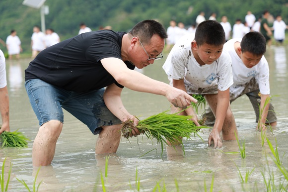 学生们体验插秧。酉阳县委宣传部供图 华龙网发