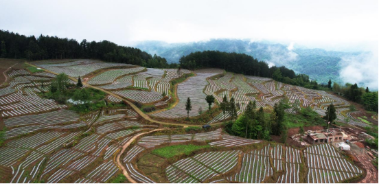 （不外显）重庆石柱：土家山寨遍地“大地诗行”103