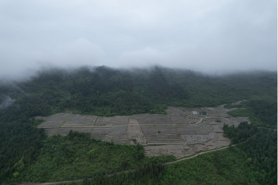 （不外显）重庆石柱：土家山寨遍地“大地诗行”253