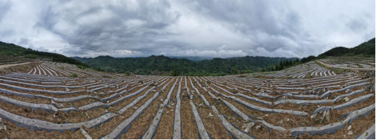 （不外显）重庆石柱：土家山寨遍地“大地诗行”252