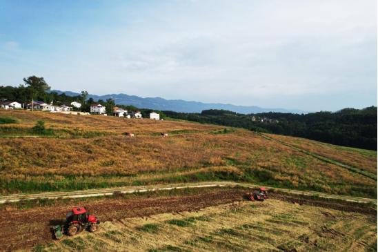 （不外显）重庆石柱：土家山寨遍地“大地诗行”178