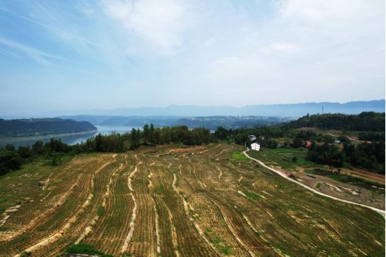 （不外显）重庆石柱：土家山寨遍地“大地诗行”149