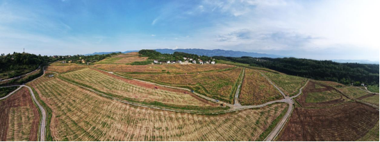 （不外显）重庆石柱：土家山寨遍地“大地诗行”180