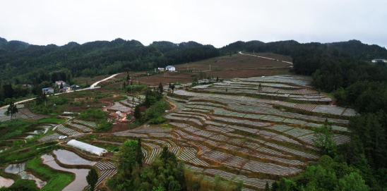 （不外显）重庆石柱：土家山寨遍地“大地诗行”101