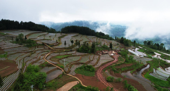 （不外显）重庆石柱：土家山寨遍地“大地诗行”105