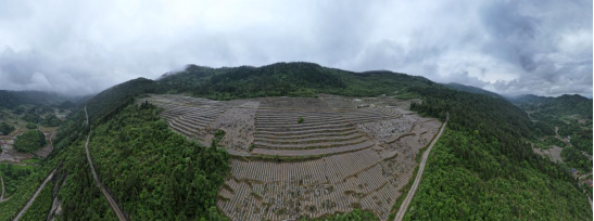 （不外显）重庆石柱：土家山寨遍地“大地诗行”254