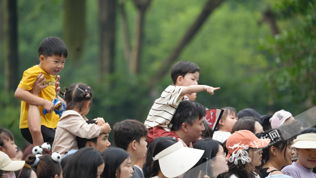 游园的小朋友。华龙网记者 陈毅 摄