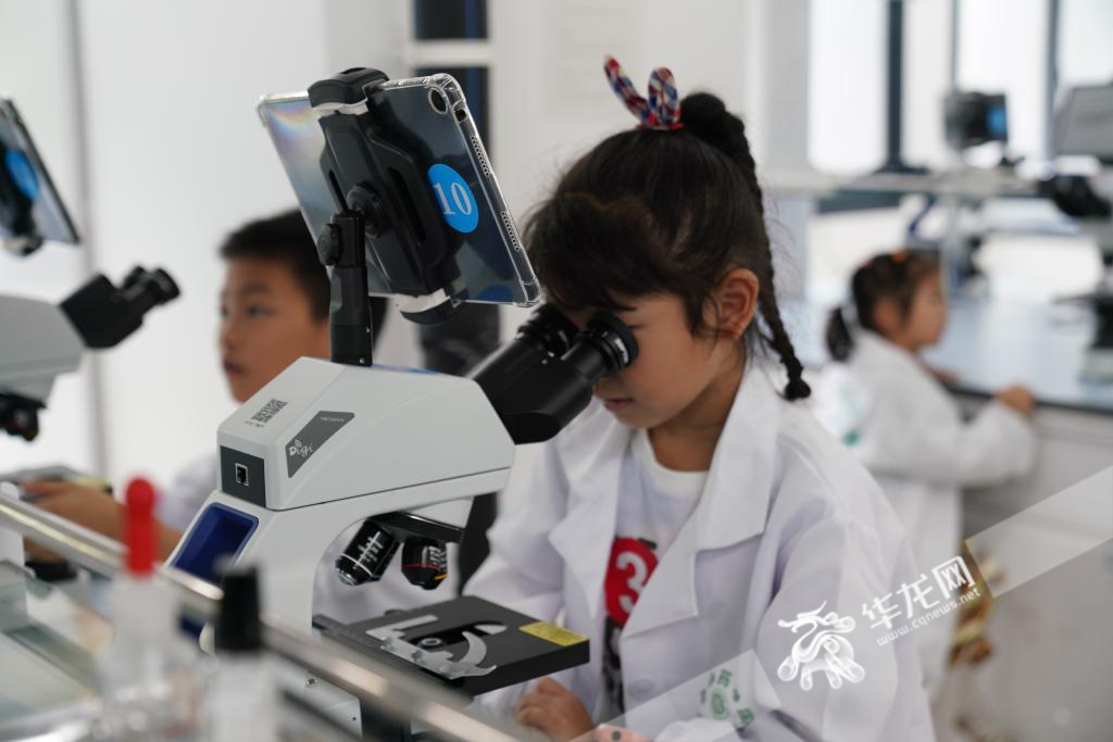 六一节当天在西南大学药学院，小朋友通过显微镜探索叶片奥秘。 华龙网记者 刘钊 摄