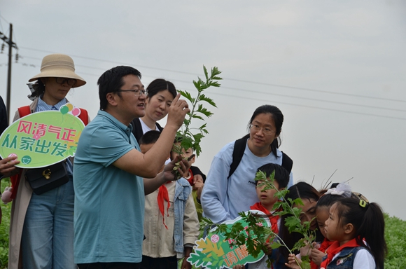 陈平带领青少年参观艾草基地。铜梁区委宣传部供图 华龙网发
