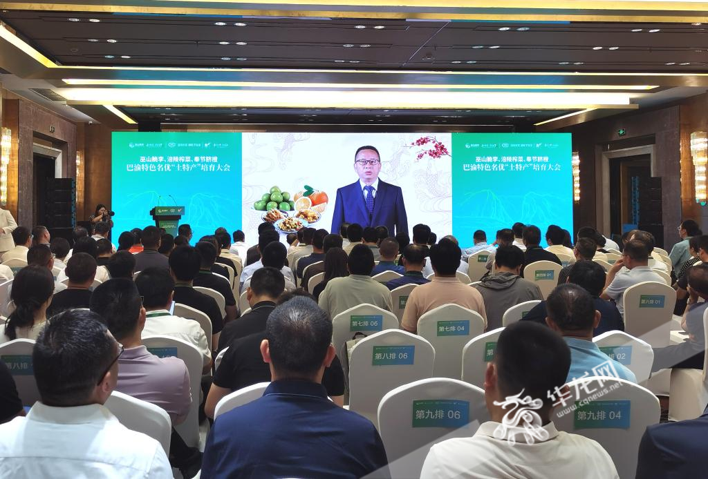 中国工程院院士单杨支招重庆如何依山就势培育“土特产”。华龙网 陈雨 摄