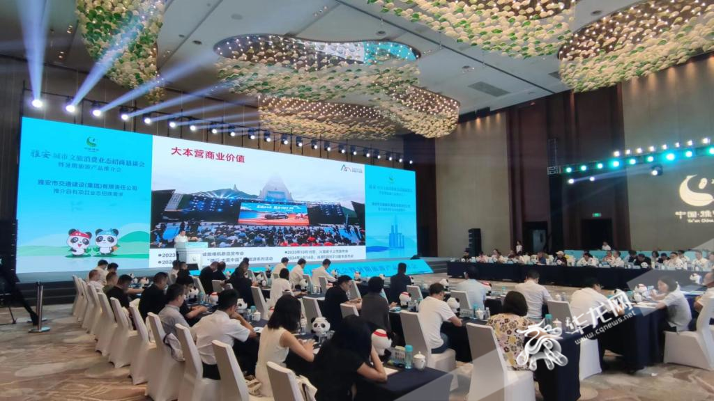 推介会现场。华龙网记者 梁浩楠 摄