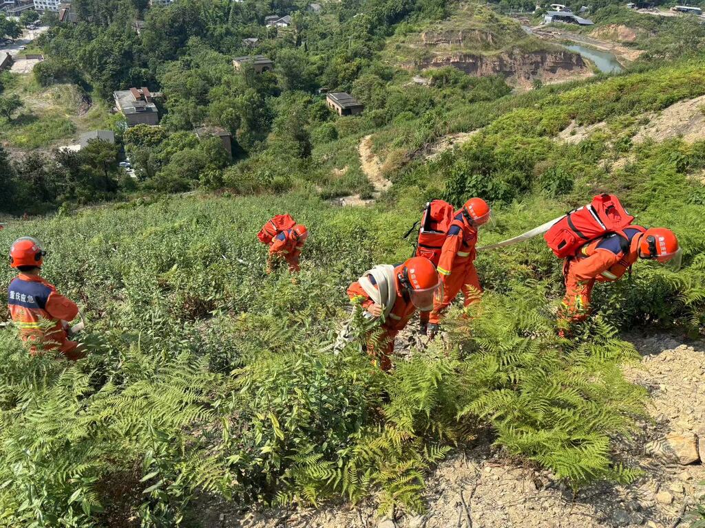 登山巡护。重庆市专业应急救援总队供图