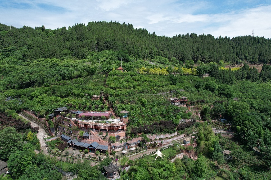 開州區(qū)盛山植物園。開州區(qū)委宣傳部供圖 華龍網發(fā)