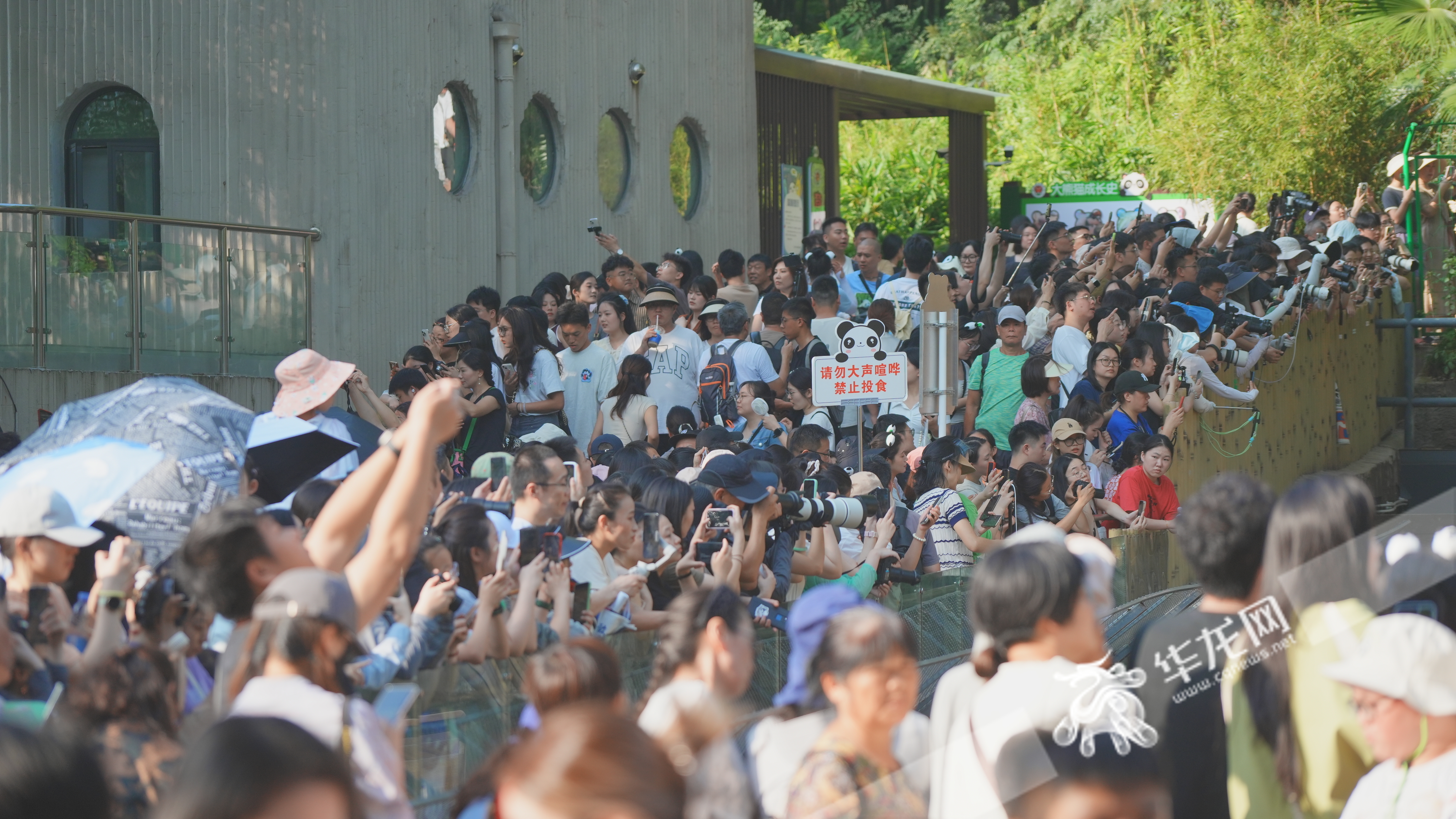 重庆动物园人气火爆，游客与动物们一起欢度中秋。华龙网记者 陈毅 摄