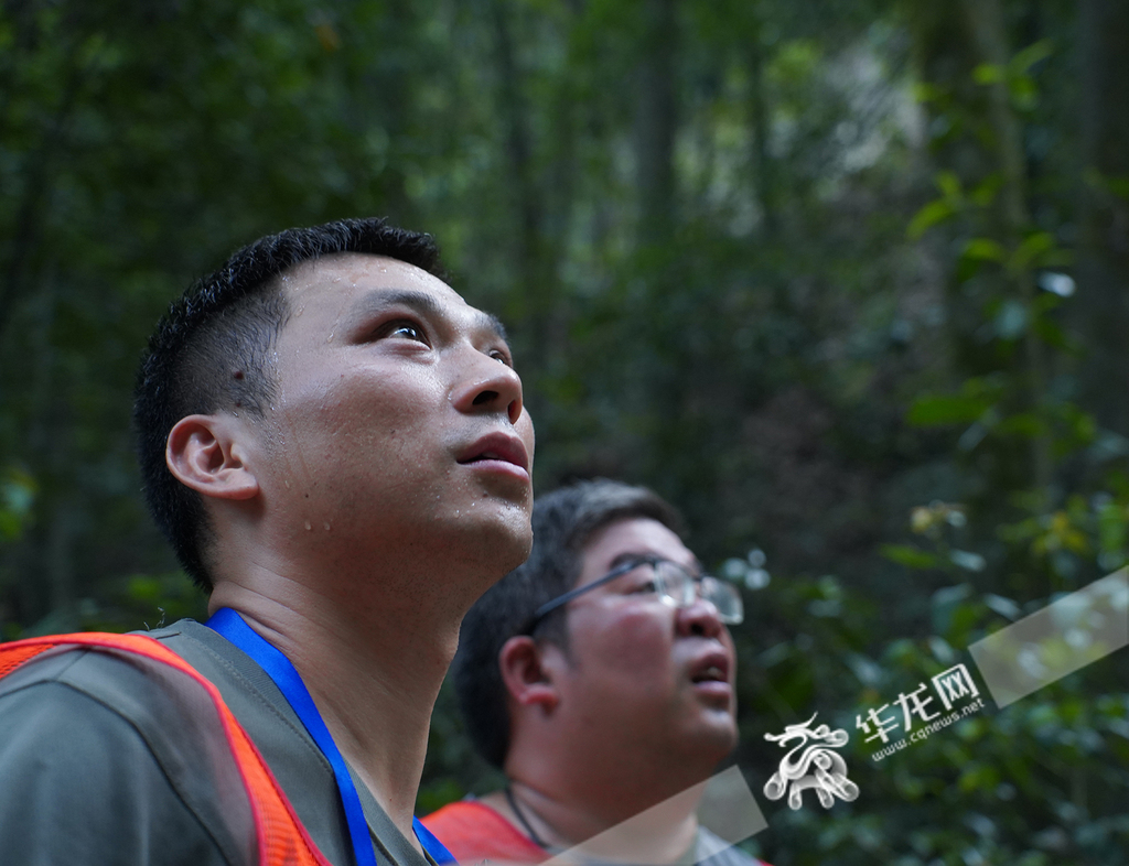 九峰山保护站护林员陈波和同事正在山中巡林。(华龙网记者 刘润 实习生 林靖昂 摄)
