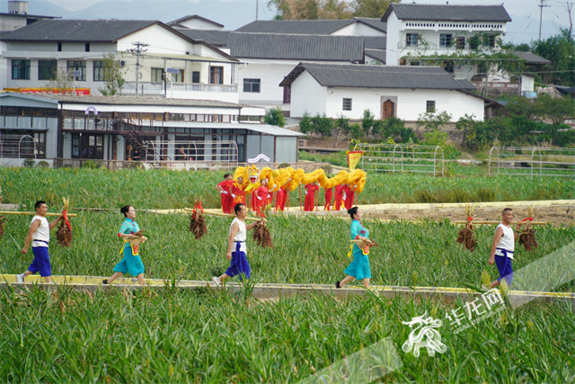 農(nóng)田間開展的鄉(xiāng)村文藝表演。華龍網(wǎng)記者 歐武夷 攝