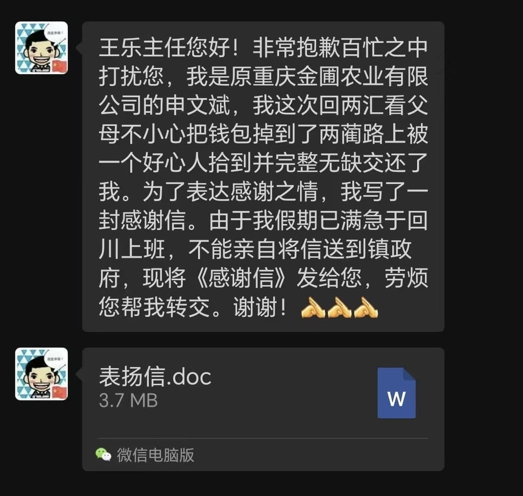 申文斌发给重庆涪陵区新妙镇纪委副书记的微信短信截图。受访者供图