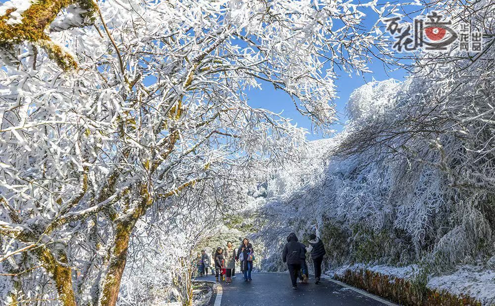 重慶人對雪有一種特別的執(zhí)念。每到冬天，仙女山、金佛山等雪景打卡點，吸引眾多游客前去觀賞，三五成群，驅(qū)車前往，只為了一睹那銀裝素裹的美景。山城四季，各有千秋。2024年，你與誰一起走過？是這些瞬間，讓我們愿意記住2024，與這座城市一起，擁抱更美好的明天。