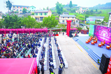 綦江：萝卜丰收引客来 以节为媒促振兴