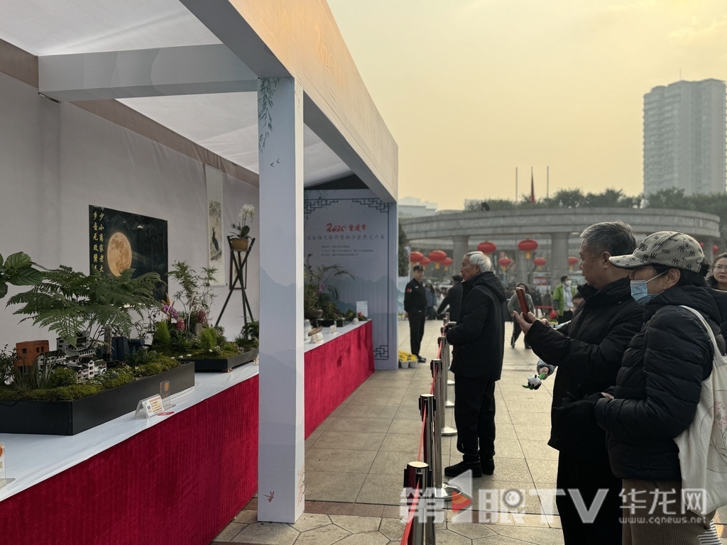 市民观展。第1眼TV-华龙网 曹妤 摄
