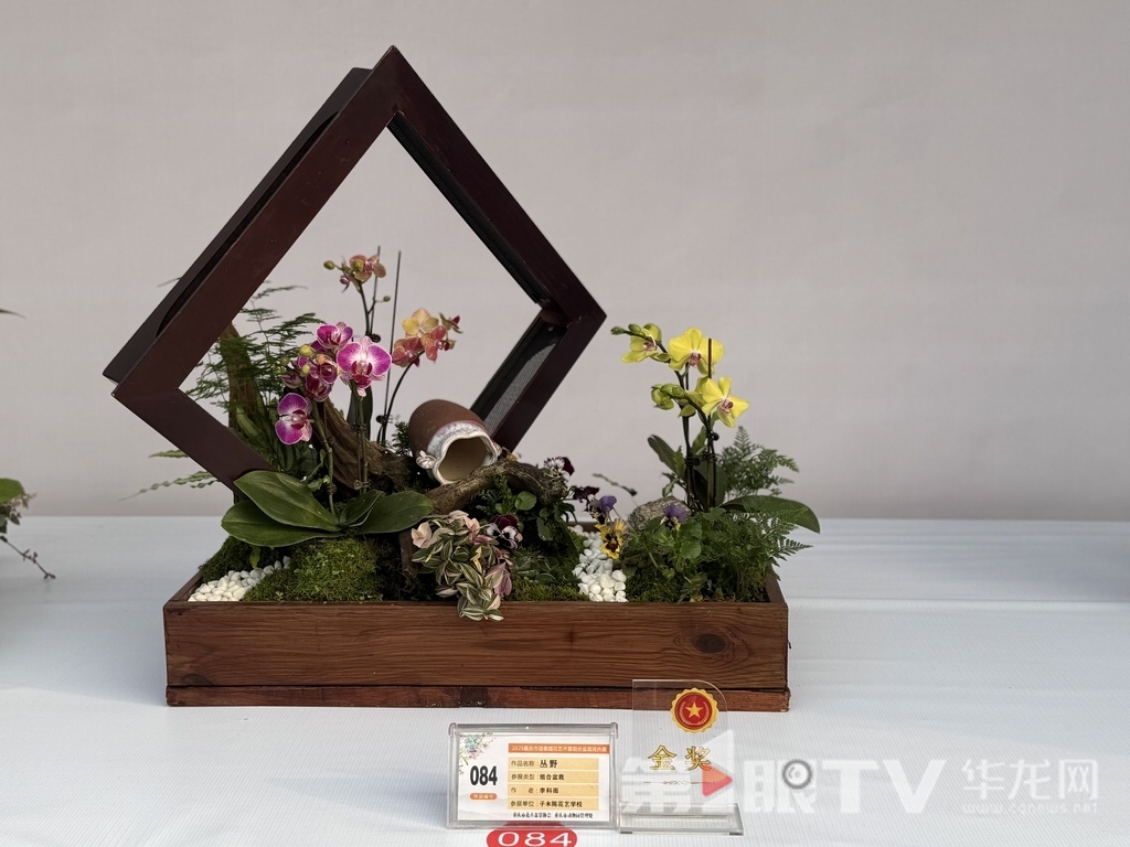 部分获奖作品。第1眼TV-华龙网 曹妤 摄
