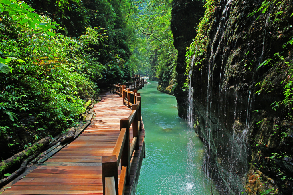 1.重庆黑山谷景区。市林业局供图