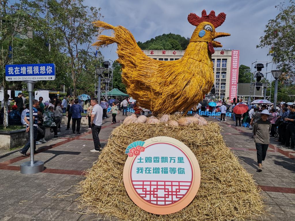 首届增福土鸡嘉年华活动现场。受访者供图