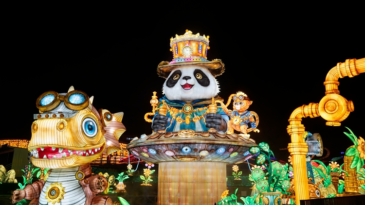 燈會(huì)實(shí)景。  活動(dòng)主辦方供圖