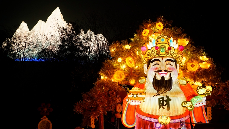 燈會(huì)實(shí)景。   活動(dòng)主辦方供圖