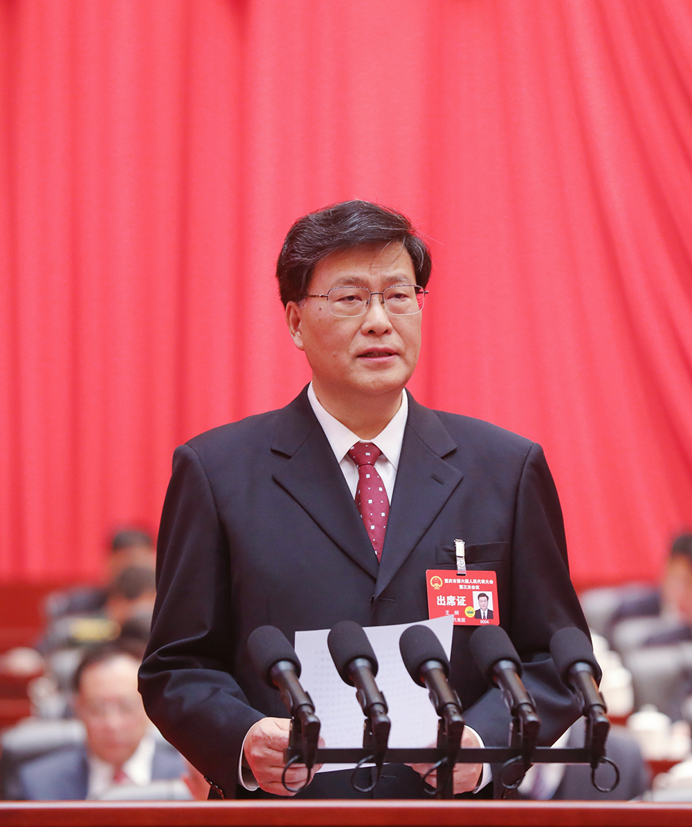 王炯作市人民代表大会常务委员会工作报告