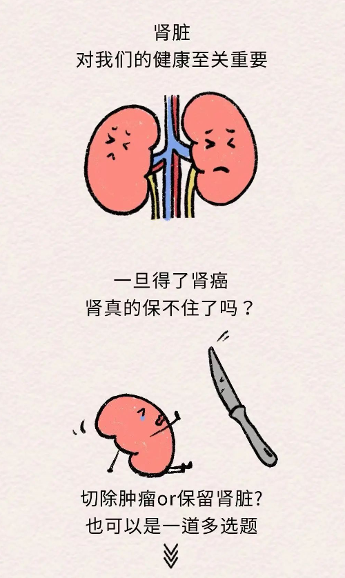 Cropped by 華龍芯 2025-01-08 14:43:47