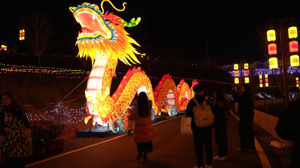 垫江：赏花灯看烟花  灯火璀璨过元宵。垫江县融媒体中心供图 华龙网发